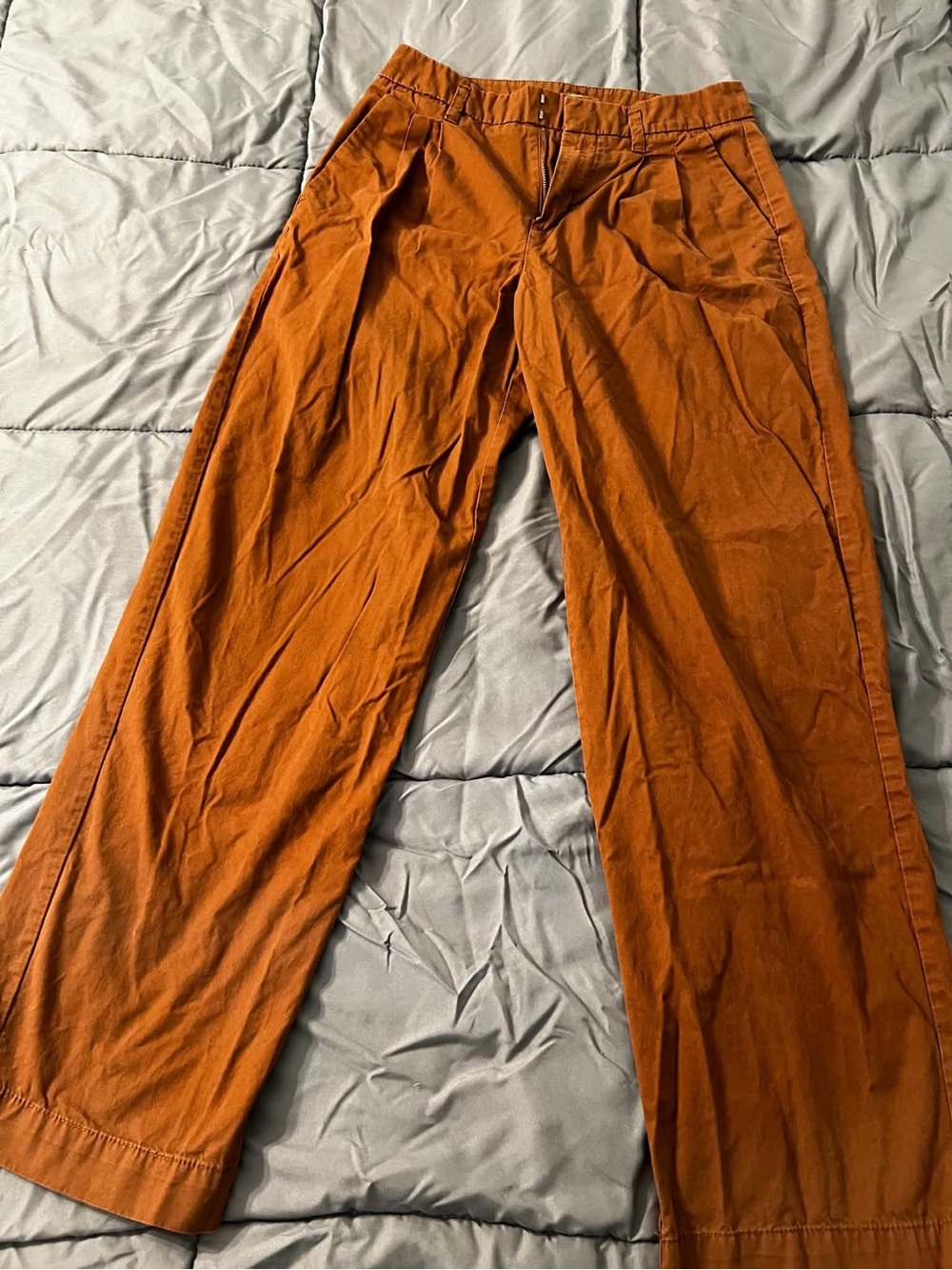 Target- New Good Brown Pants